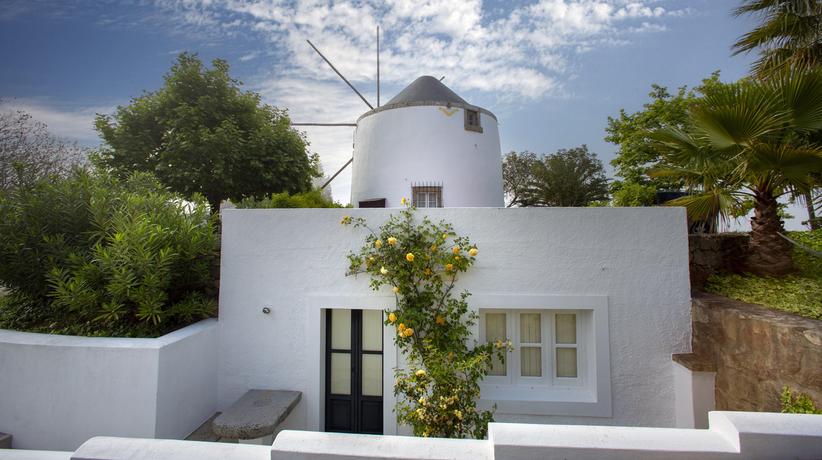 Olival de Sao Filipe — hoofdfoto