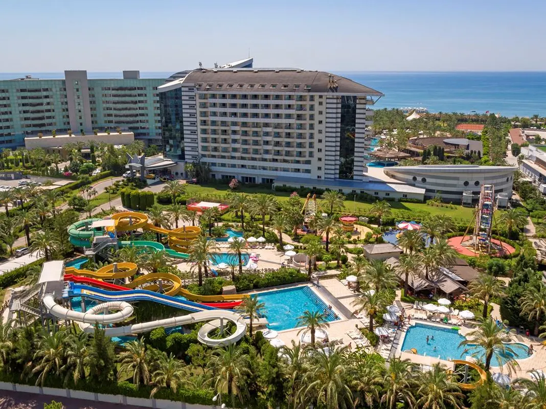 Royal Wings — hoofdfoto