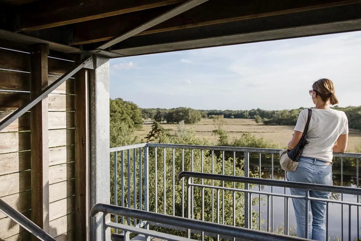 Arden Parks Baalse Hei — hoofdfoto