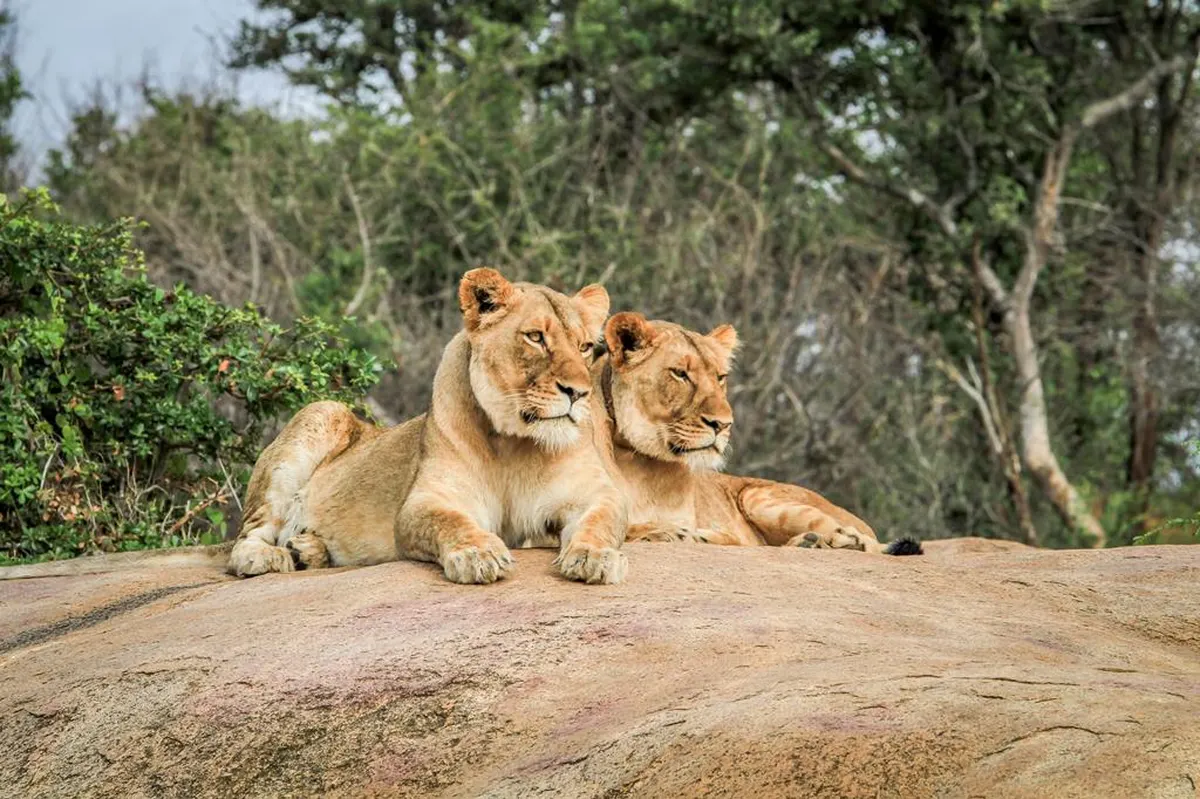 15 daagse fly drive Kleurrijke Noorden Zuid Afrika — hoofdfoto