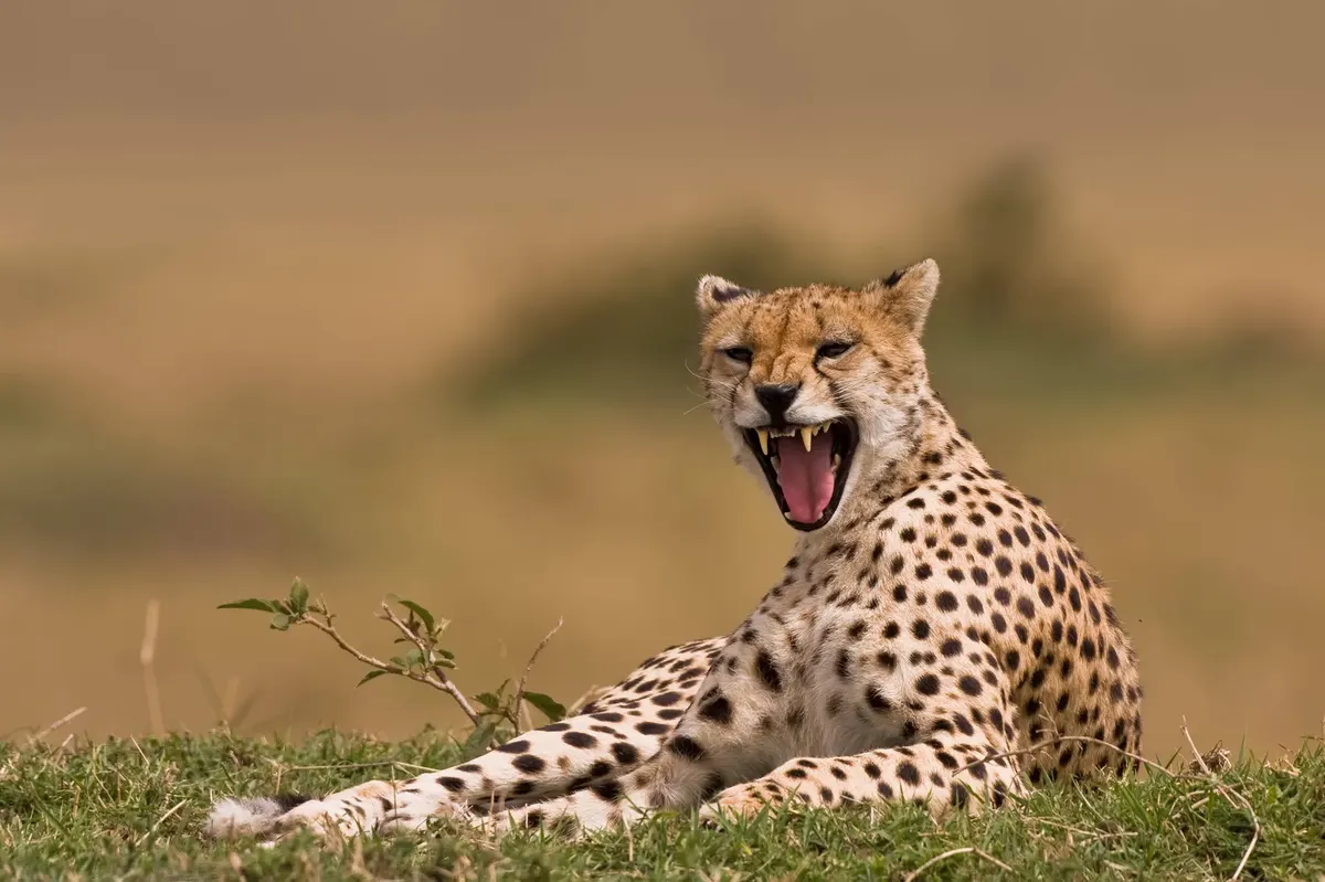 Pragtig Suid-Afrika — hoofdfoto