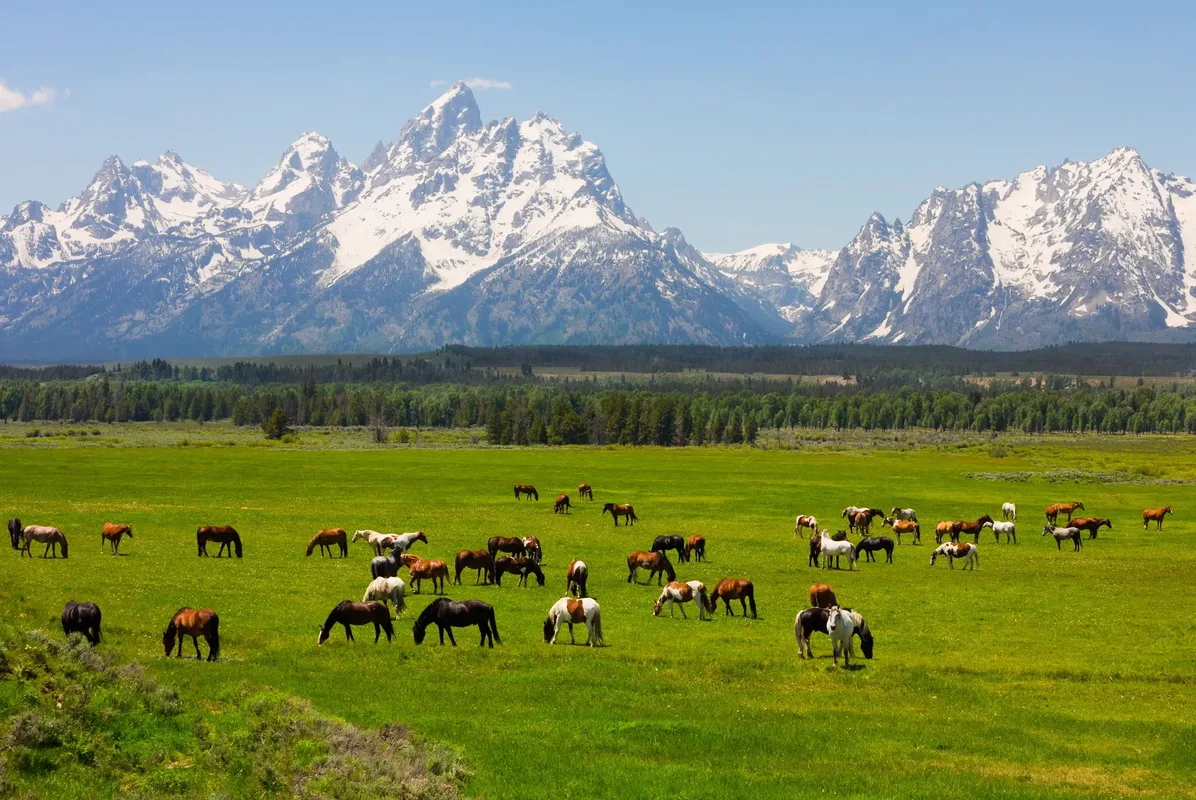 Wyoming's Wind River Country — hoofdfoto