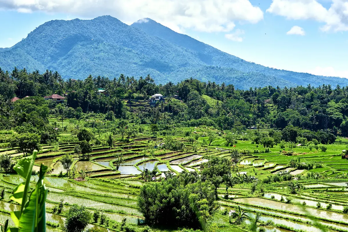 Traditioneel Bali — hoofdfoto