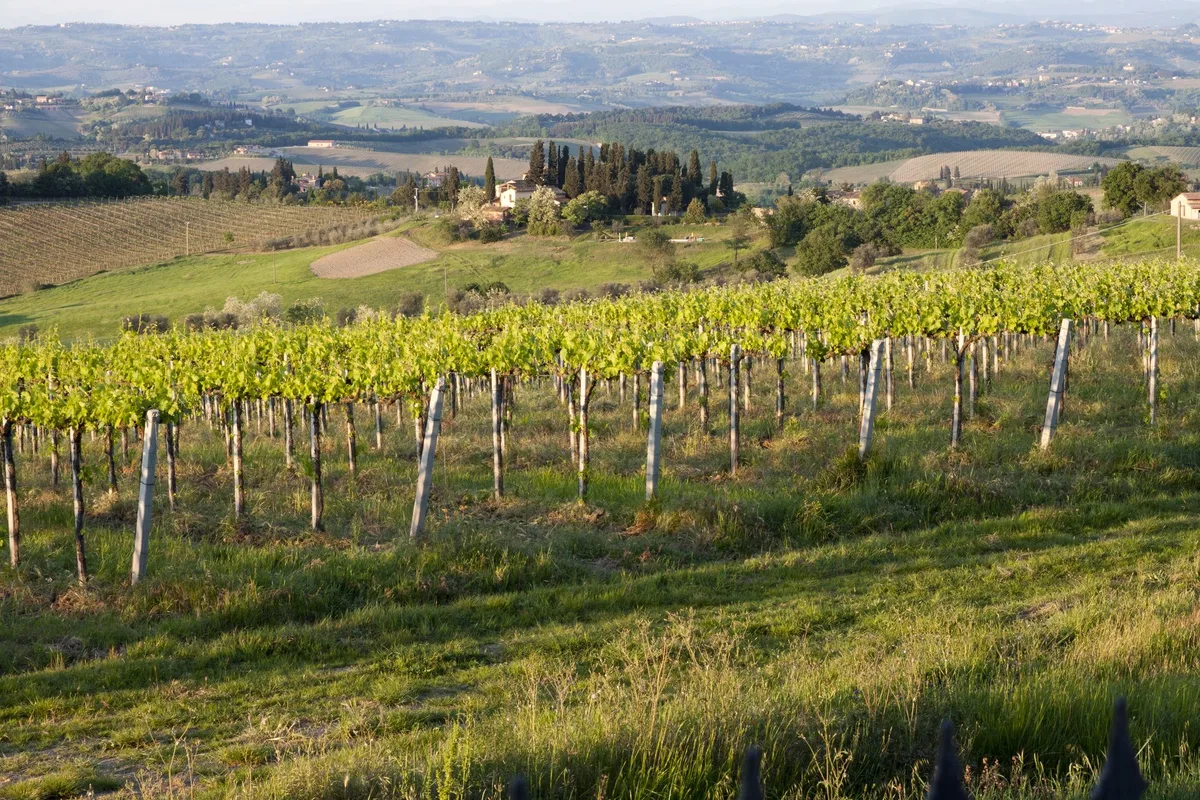 Villa Ducci, hoofdfoto