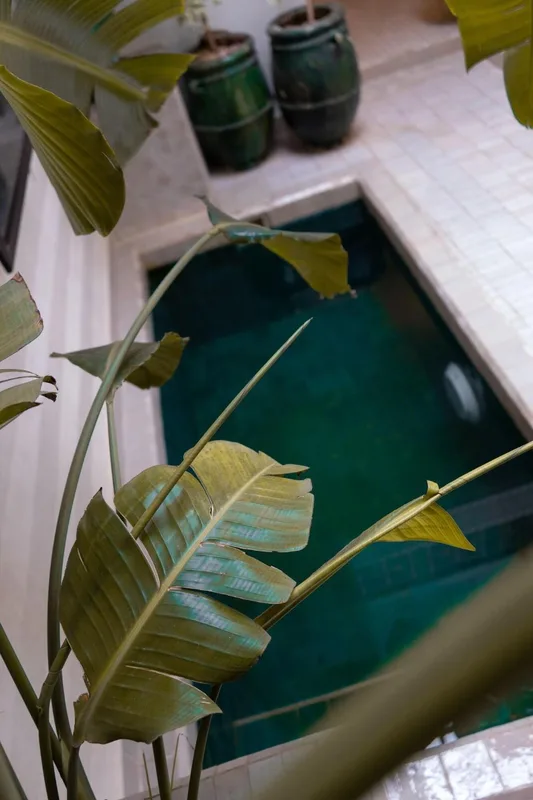 Riad Beata, hoofdfoto