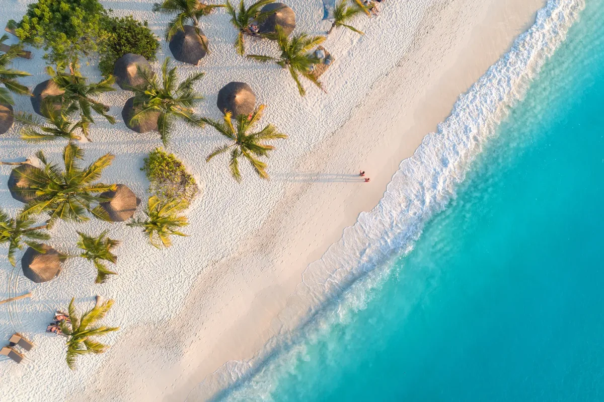 Zanzibar en safari — hoofdfoto