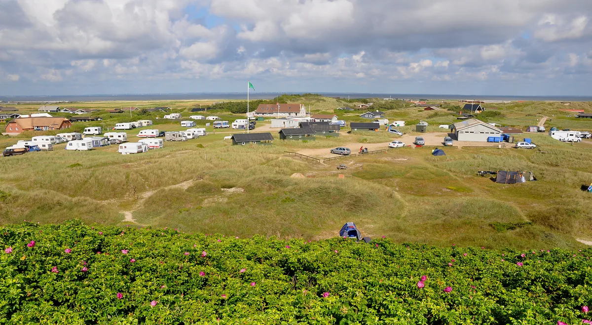 Dancamps Holmsland — hoofdfoto