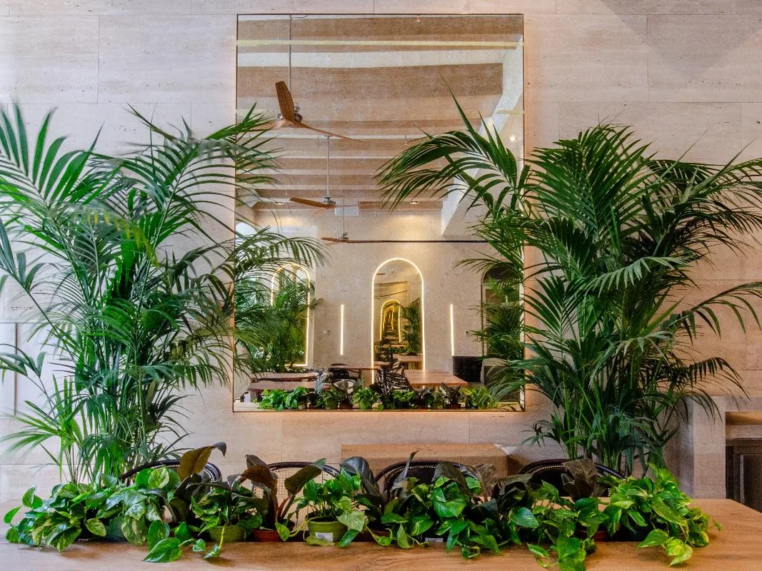 Browns Avenue Hotel — hoofdfoto
