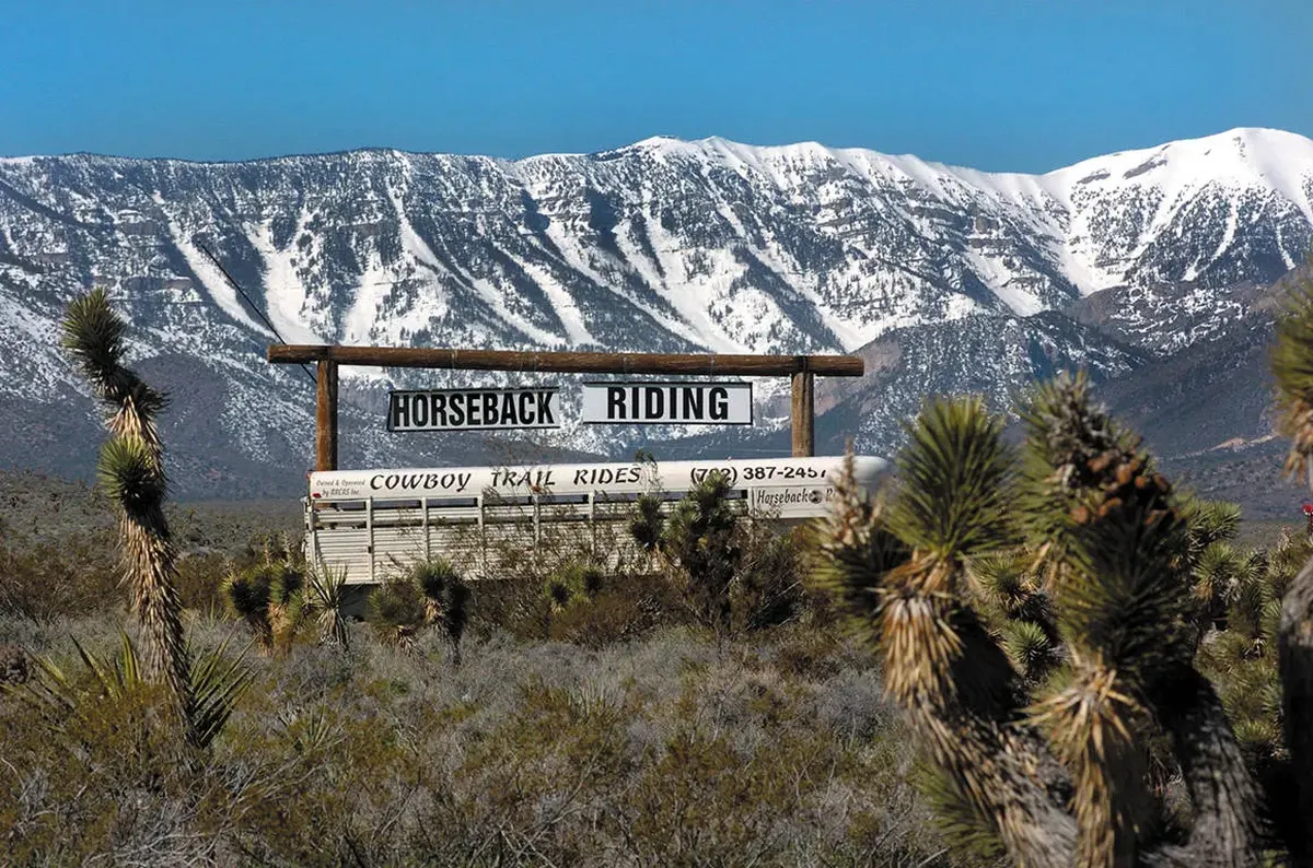 American Grandeurs — hoofdfoto