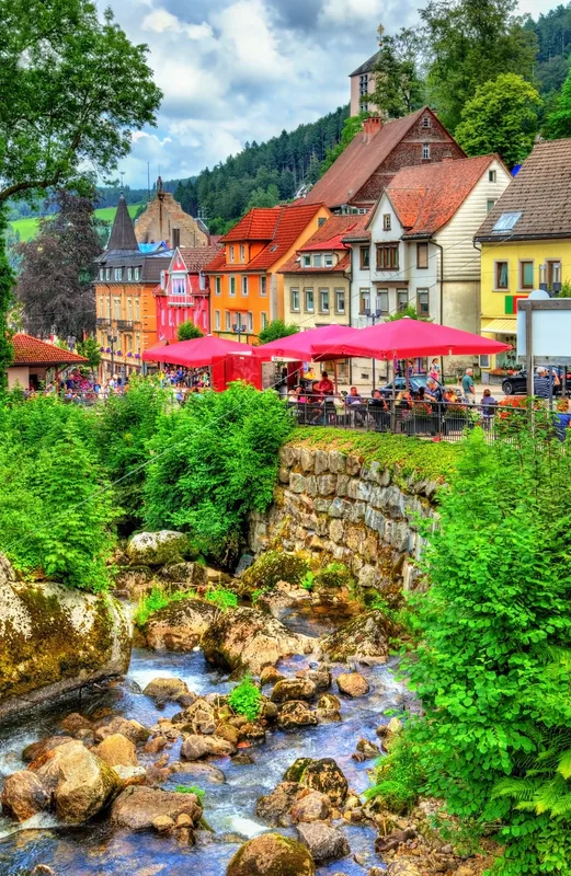 Ontdek het Zwarte Woud in stijl vanuit Triberg — hoofdfoto