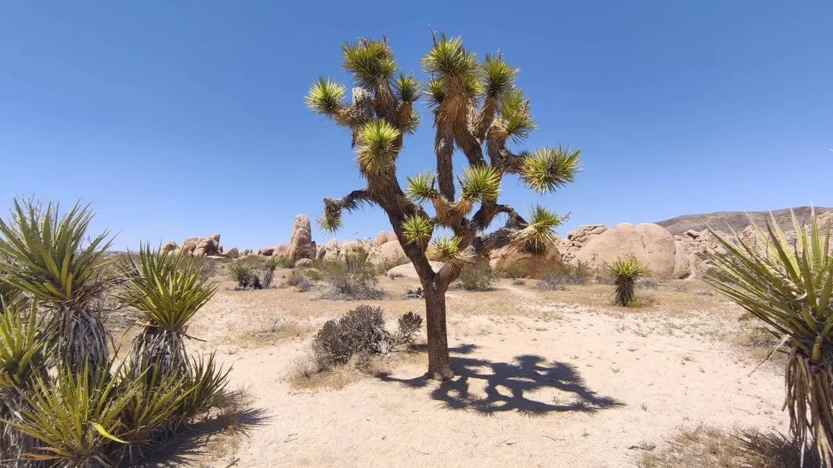 West-Amerika op het gemak — hoofdfoto
