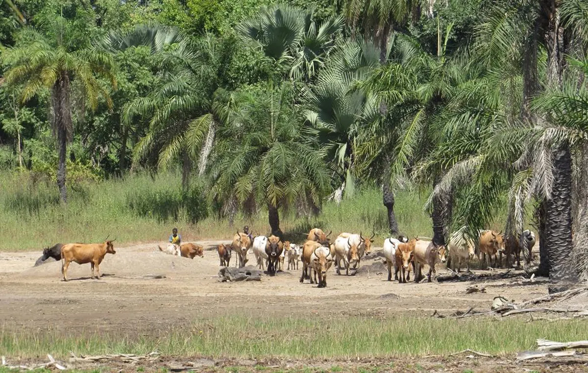 8 daagse combinatiereis Beleef het échte Gambia — hoofdfoto