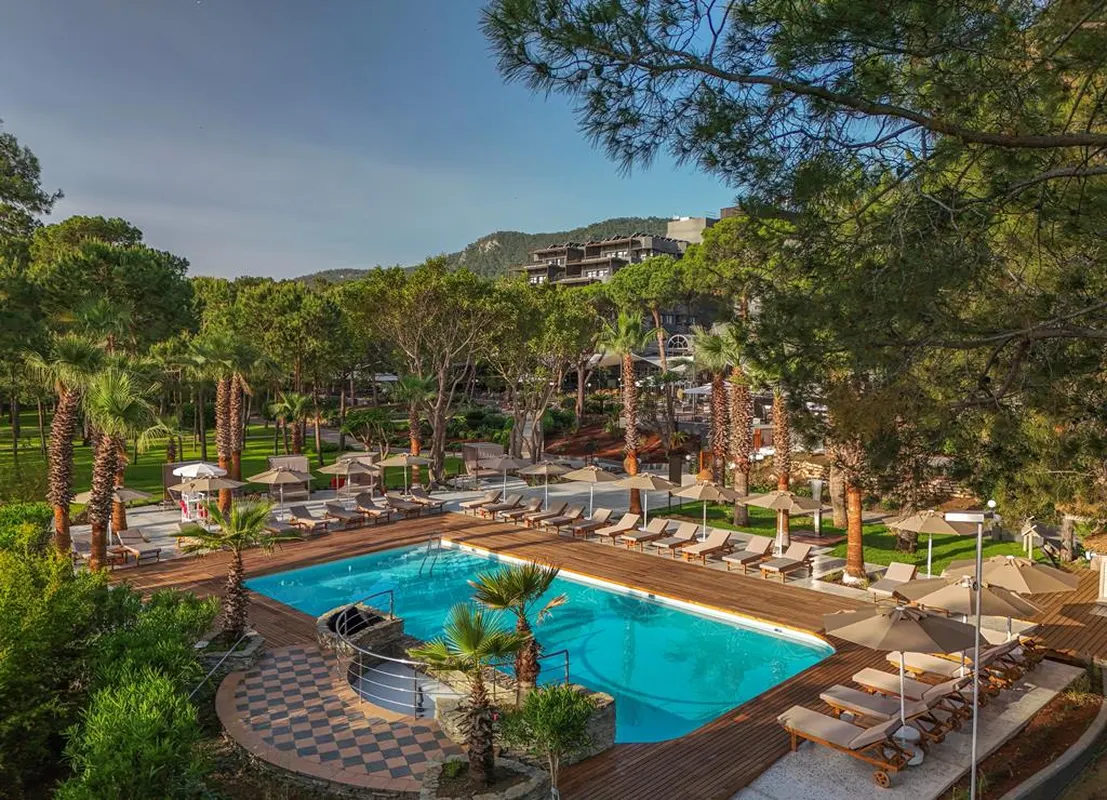 Balmy Foresta — hoofdfoto