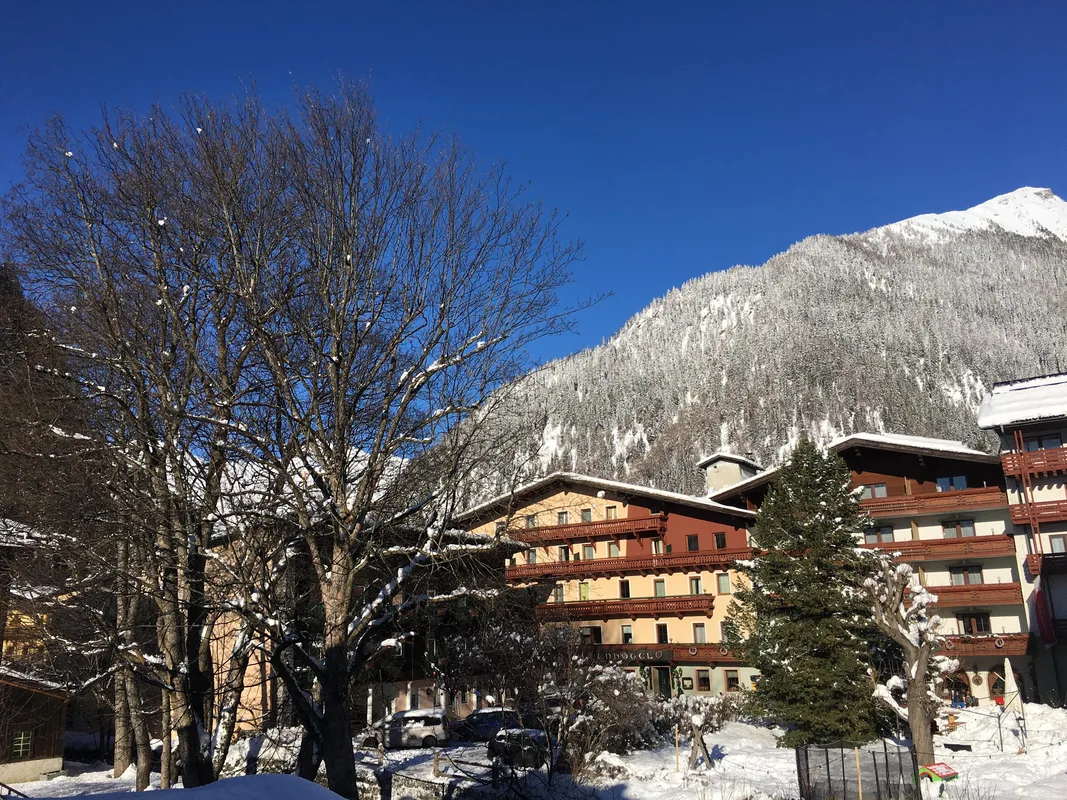 Ferienhotel Alber, hoofdfoto