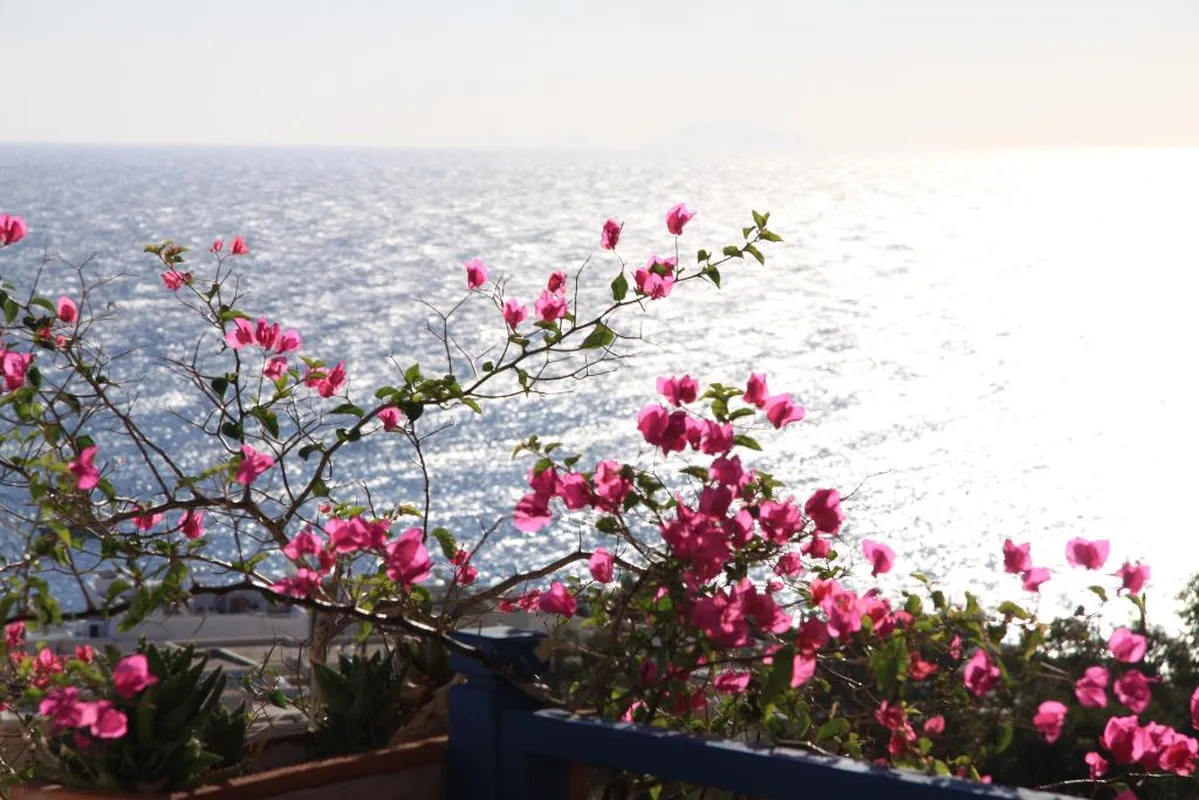 Aegean View Hotel, hoofdfoto