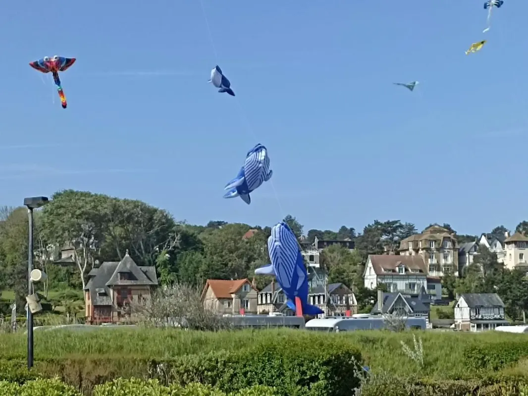 Camping Domaine Saâne Et Mer — hoofdfoto