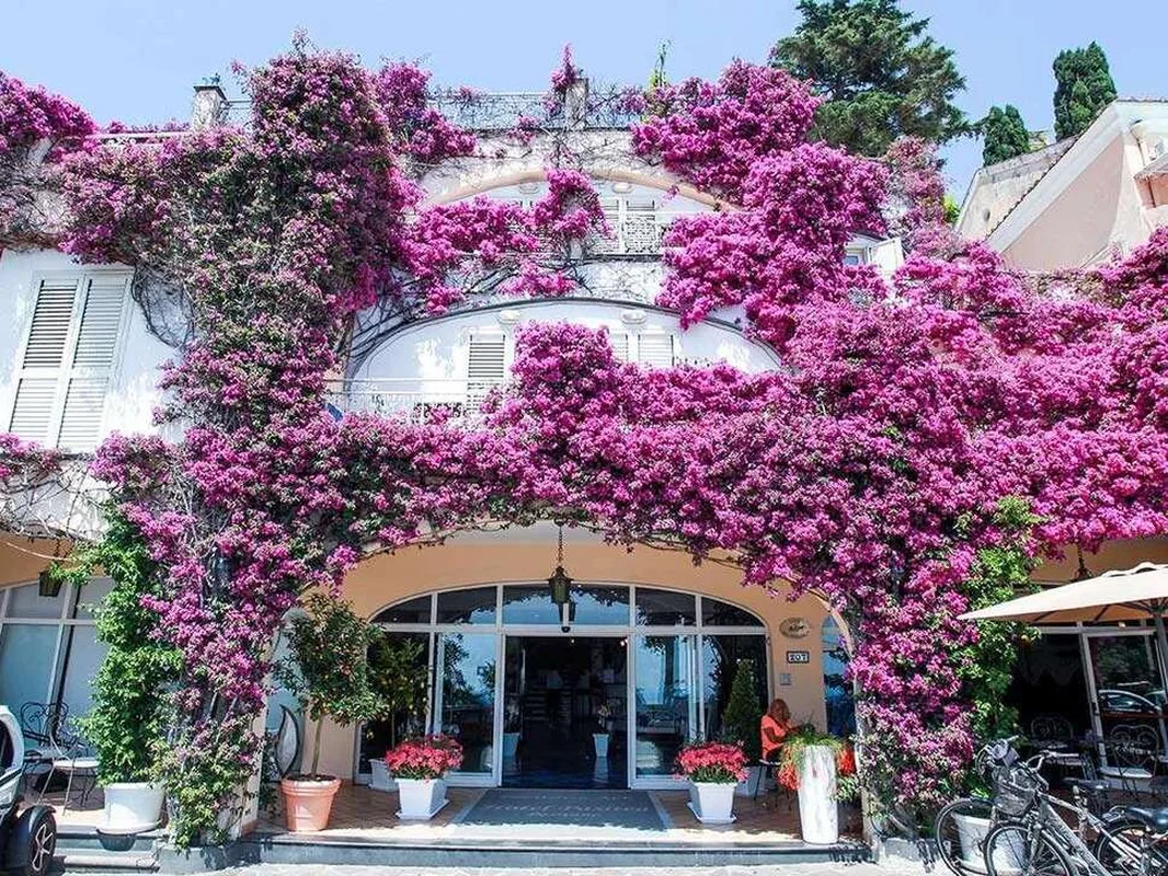 Positano Art Hotel Pasitea — hoofdfoto