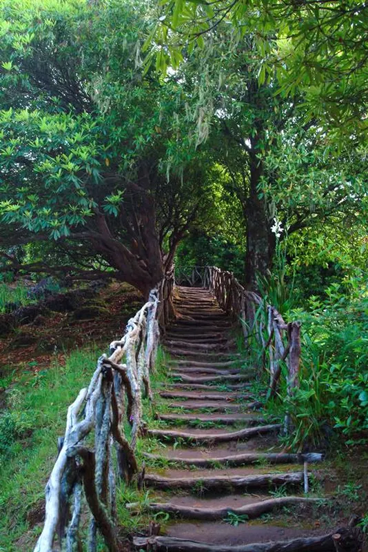 10 daagse fly drive Romantisch Madeira — hoofdfoto