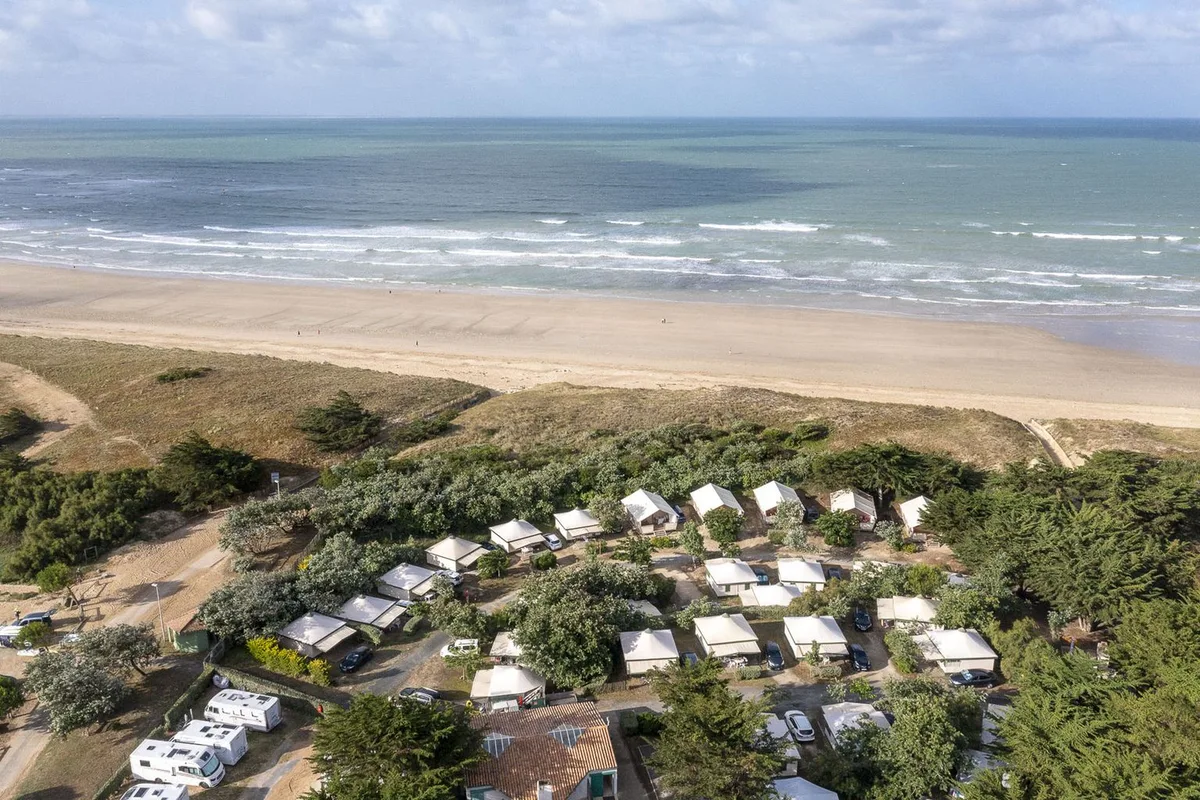 Amis De La Plage — hoofdfoto