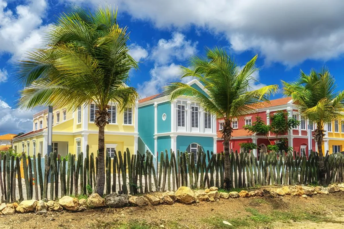 12 dg cruise Caribische Zee Nieuw Amsterdam — hoofdfoto
