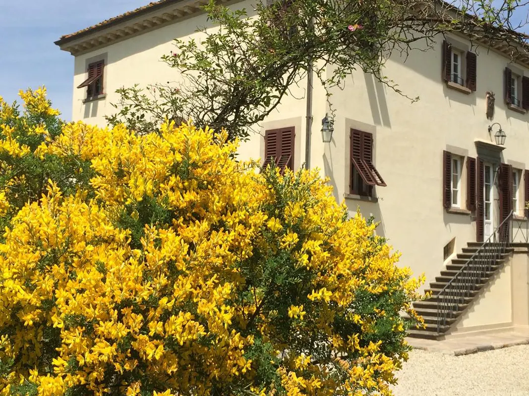 Albergo Villa Marta — hoofdfoto