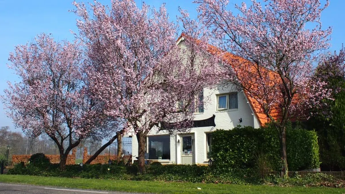 B&B Sagenland — hoofdfoto