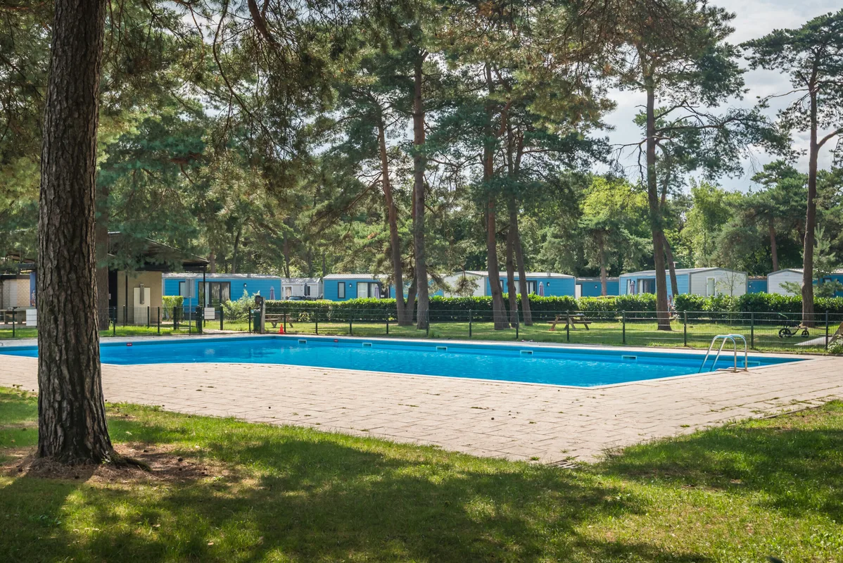 Bos Park Bilthoven — hoofdfoto