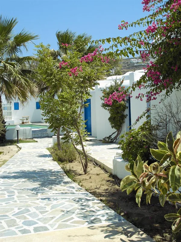 Ammos Mykonos — hoofdfoto