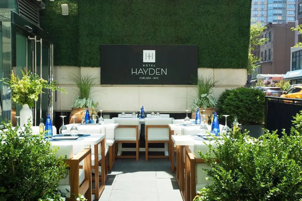 Hayden — hoofdfoto