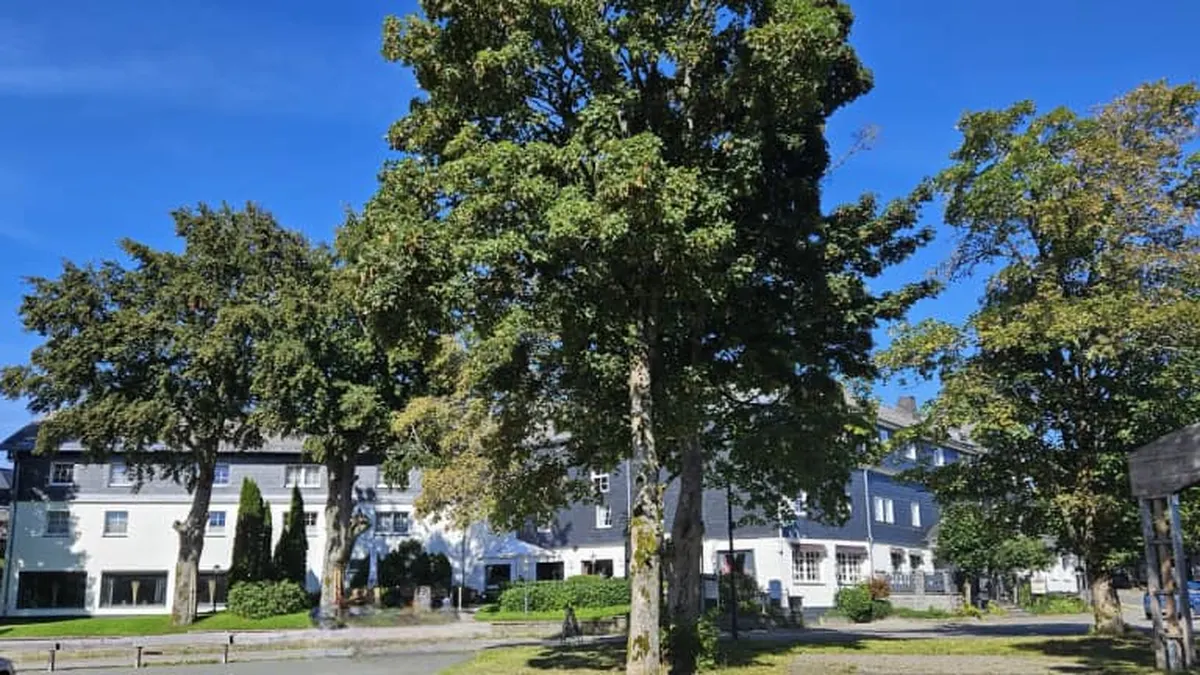 Hotel Altastenberg — hoofdfoto