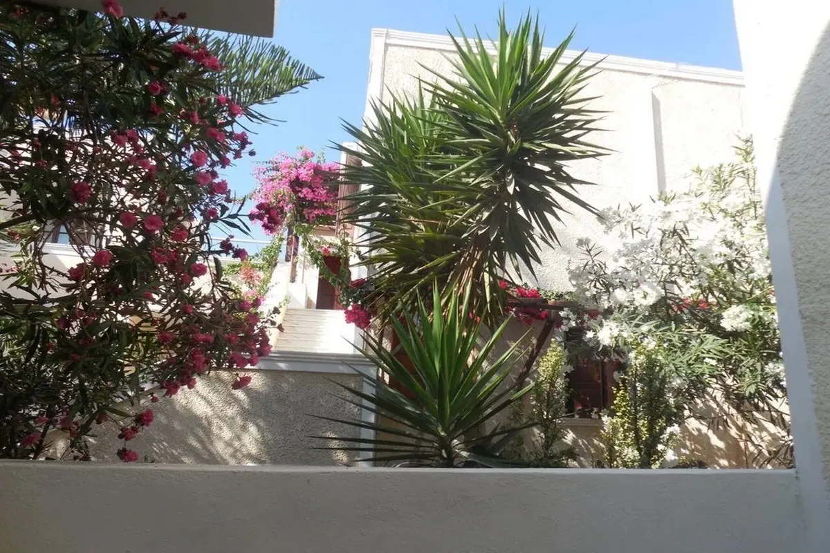 Dolphins Appartementen — hoofdfoto