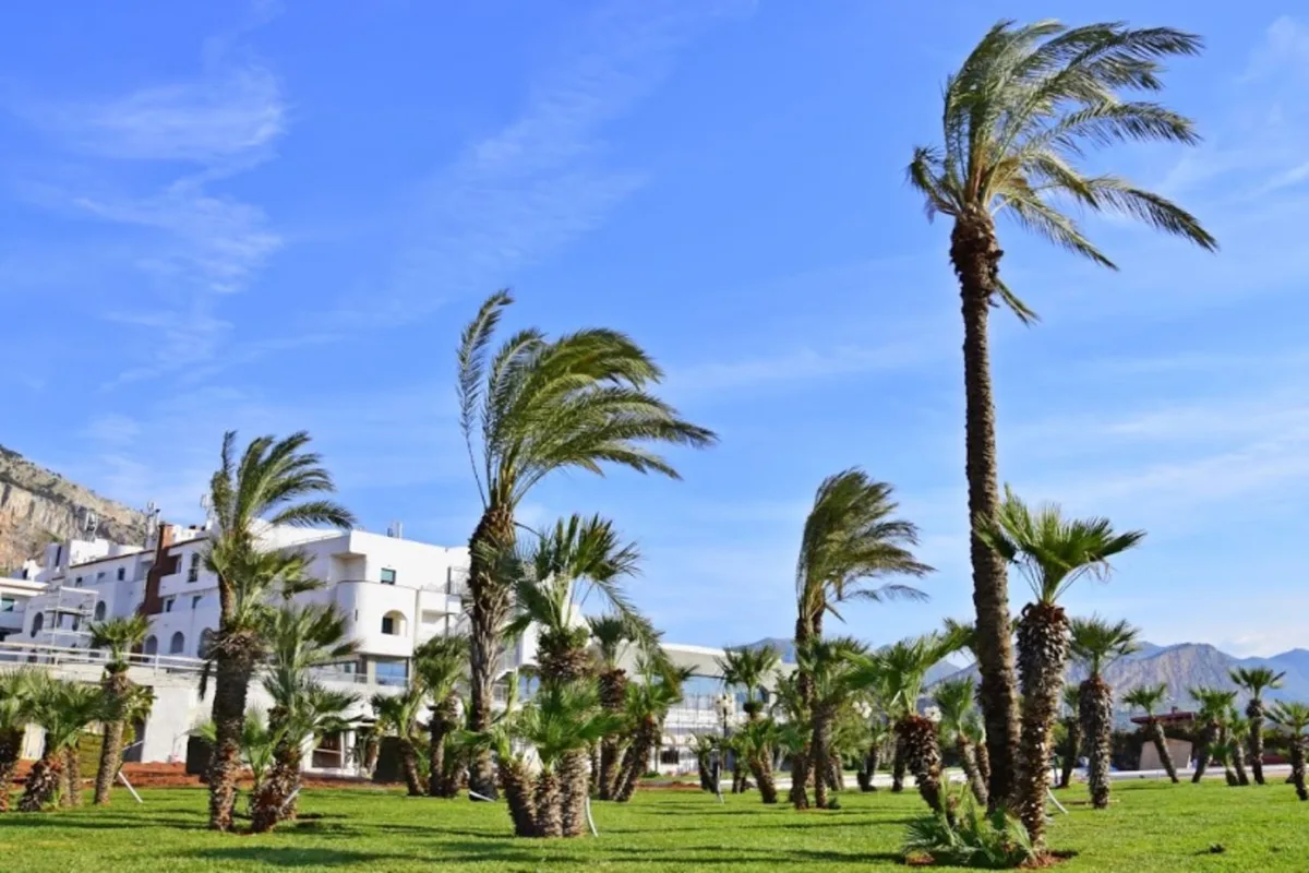 Saracen Sands Hotel & Congress Centre, hoofdfoto