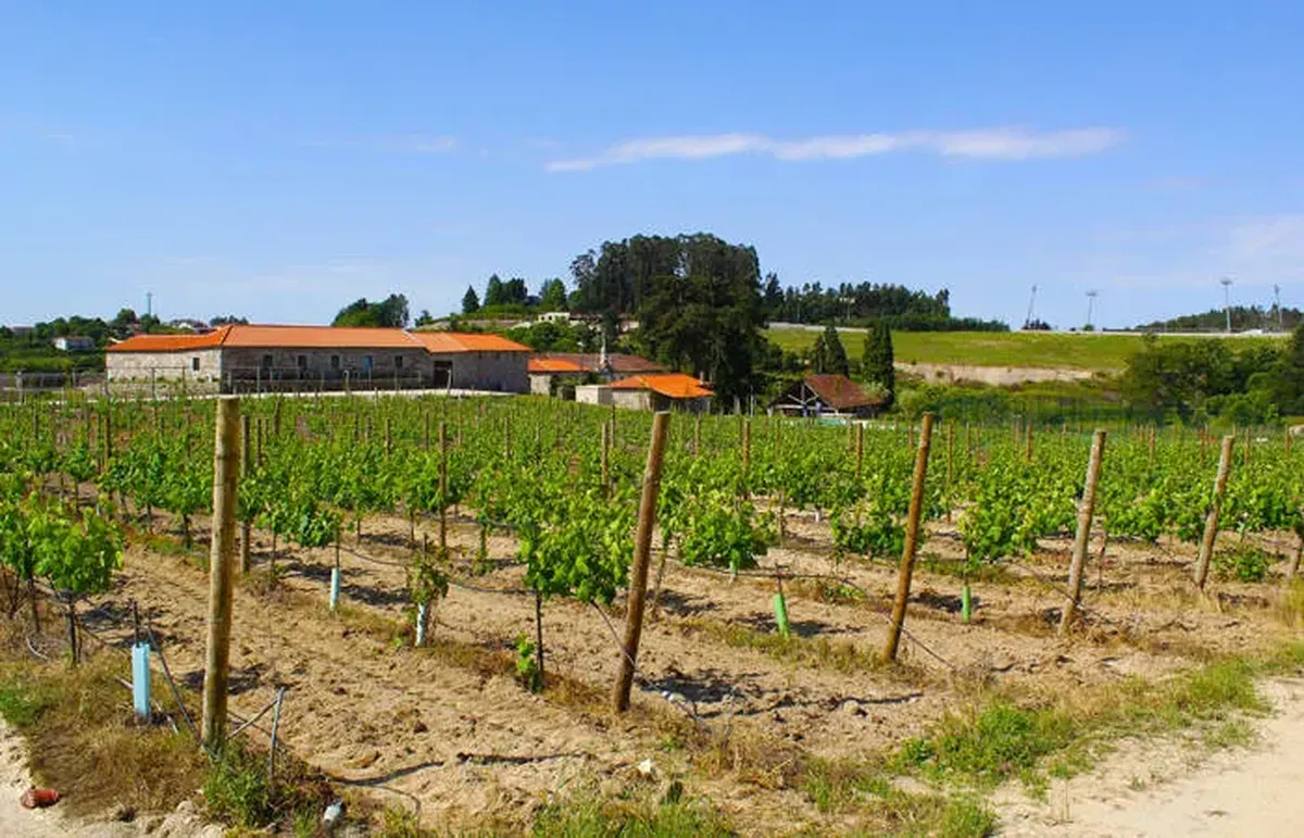 Lousada Country Hotel — hoofdfoto