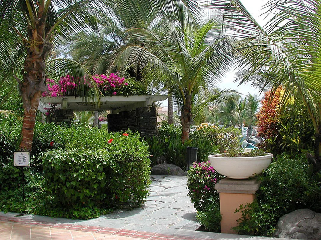 Palm Oasis Maspalomas — hoofdfoto