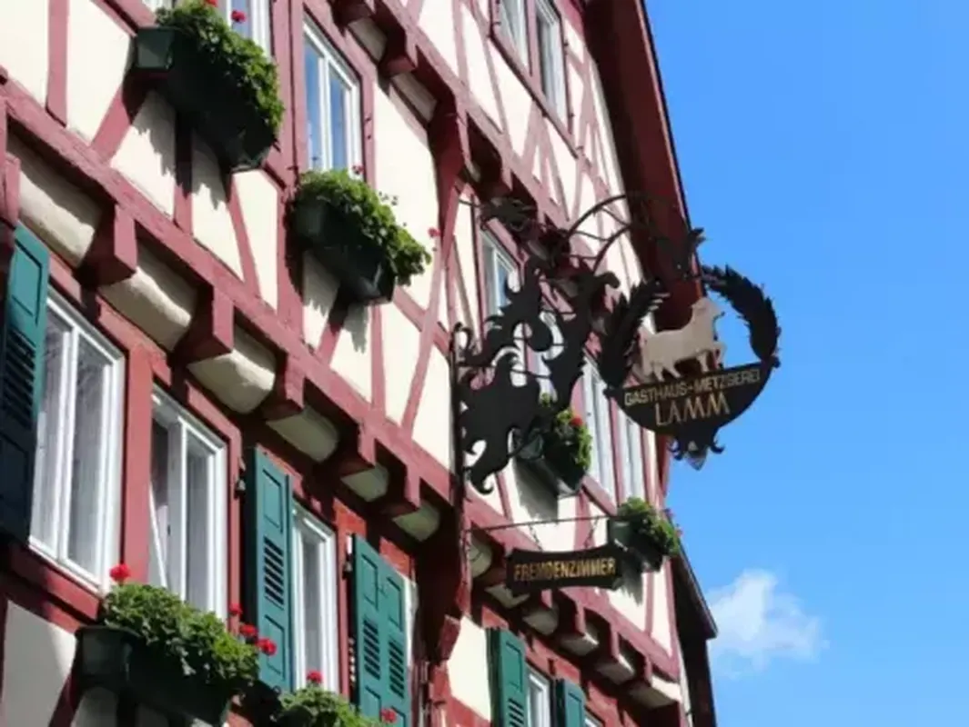 Busreis Heidelberg en het mooie Odenwald — hoofdfoto