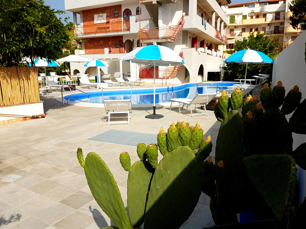 Hotel Alexander — hoofdfoto