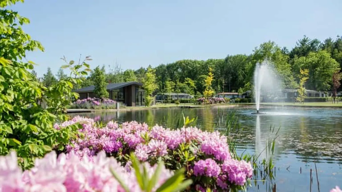 Vakantiepark Molenvelden — hoofdfoto