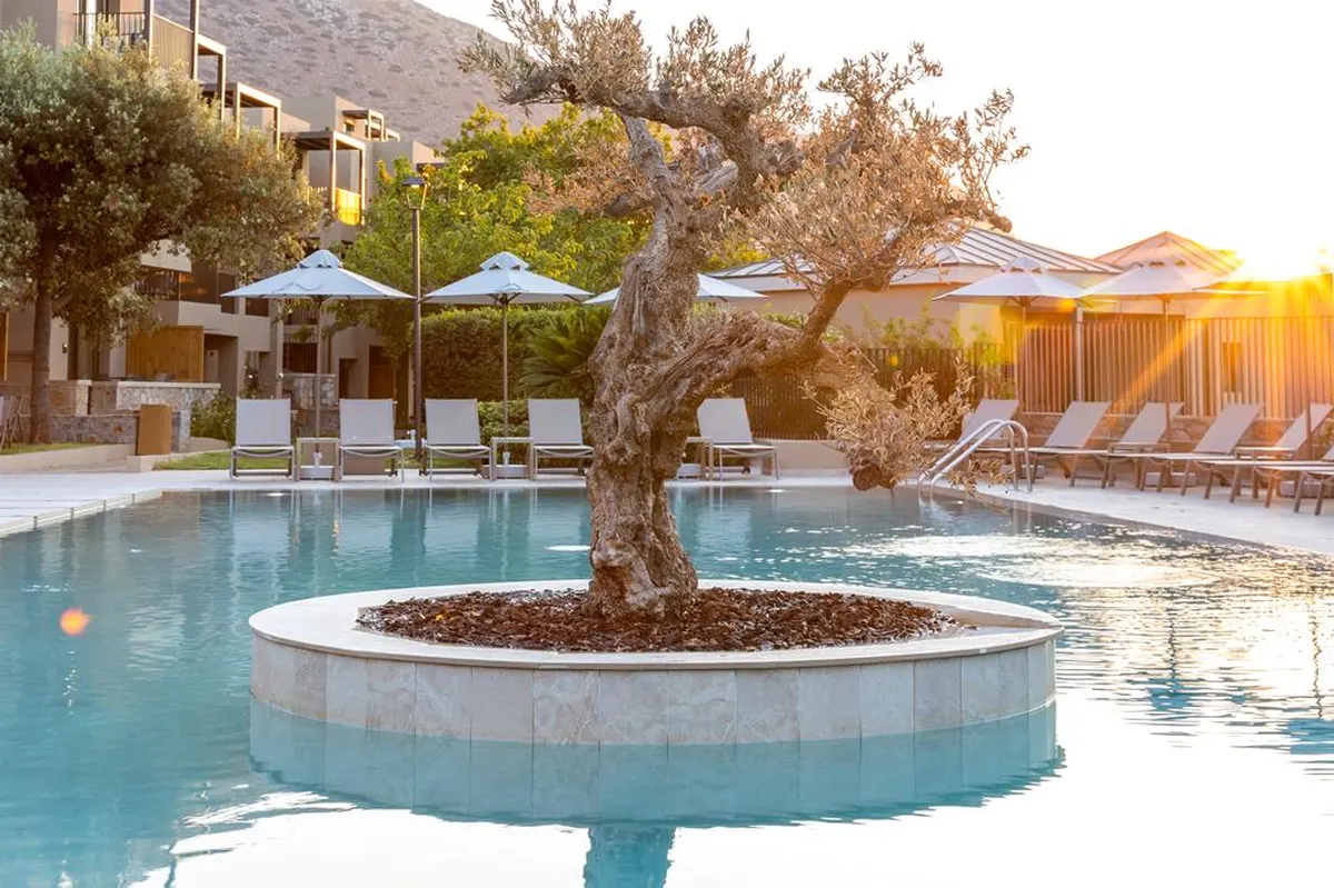 Elios Hill — hoofdfoto