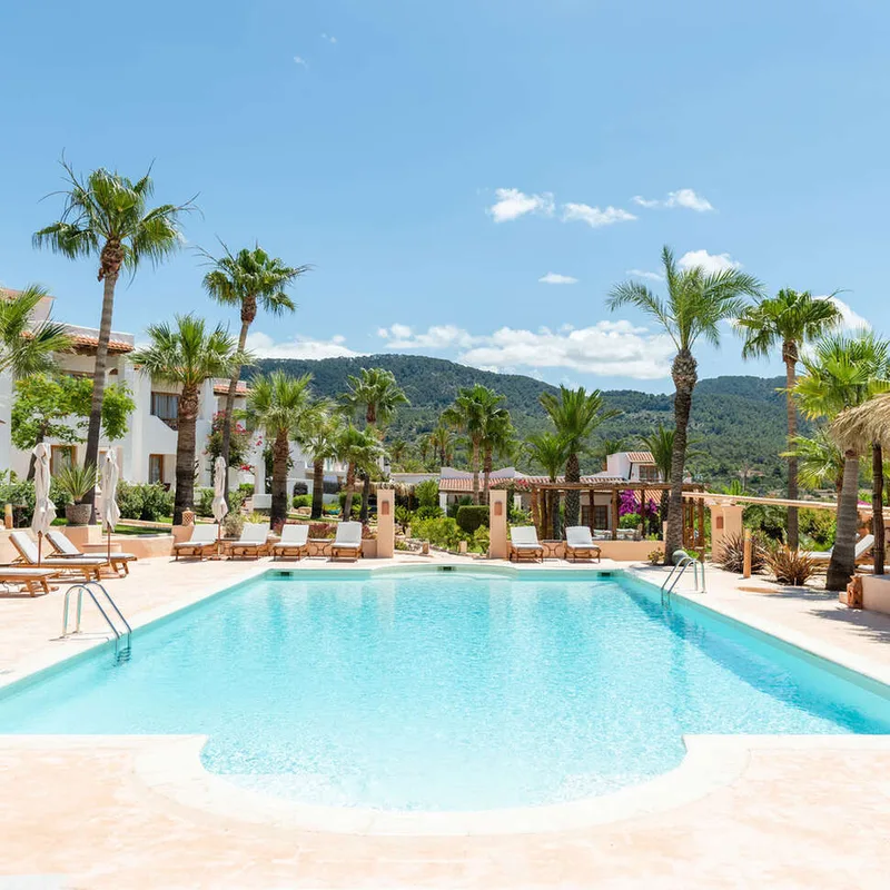 Petunia Ibiza — hoofdfoto