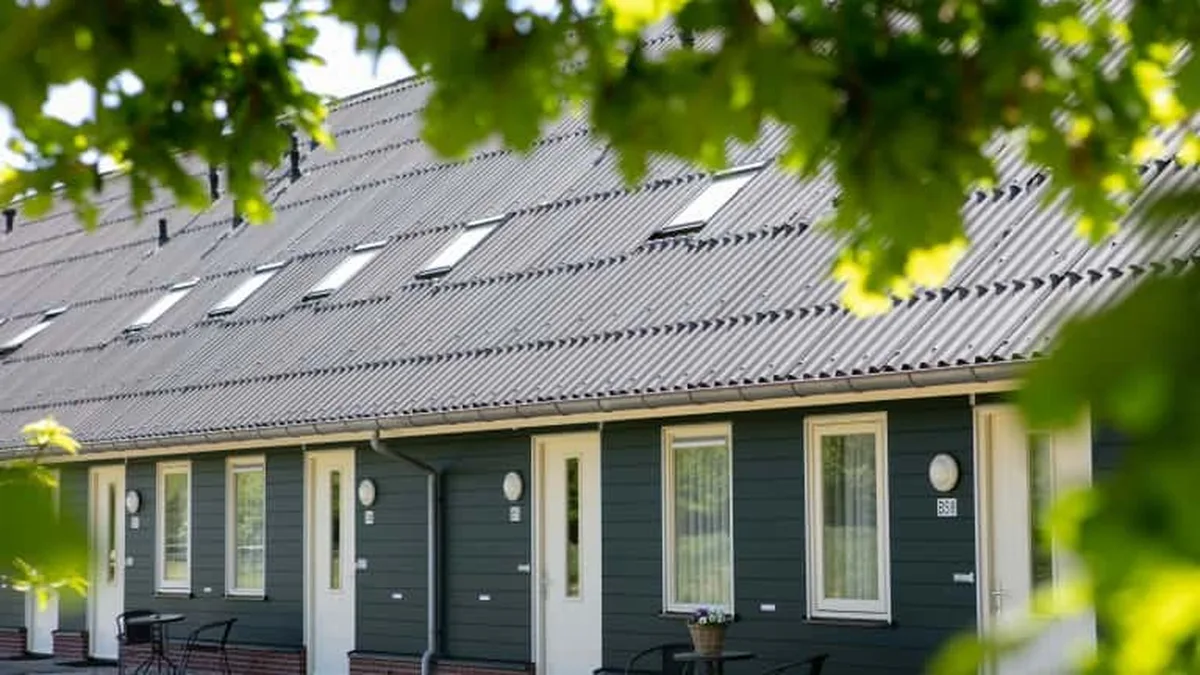 Horsetellerie Rheezerveen — hoofdfoto