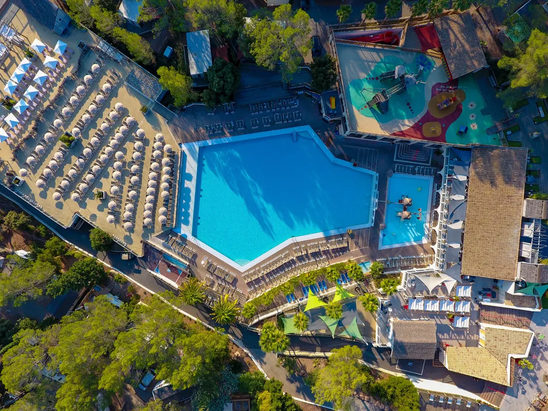 Camping Holiday Green — hoofdfoto