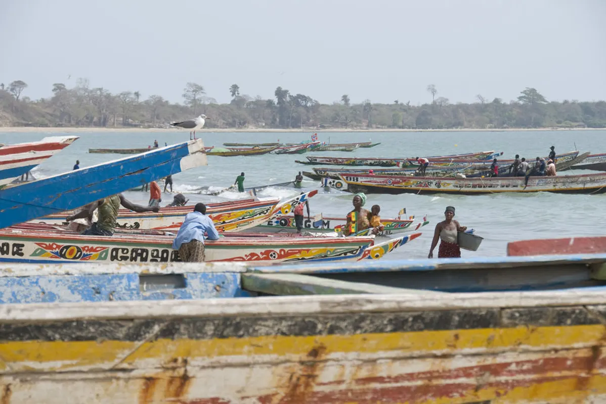 Rondreis Avontuurlijk Gambia & Senegal — hoofdfoto
