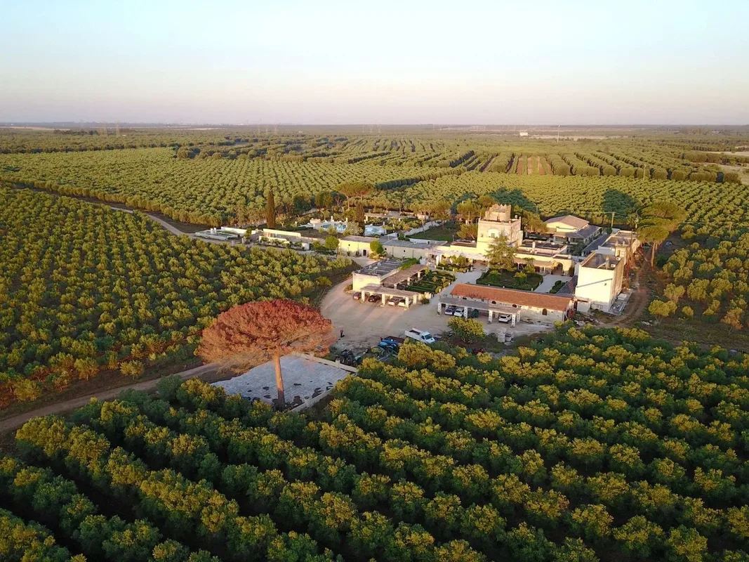 Agriturismo Tenuta Mazzetta — hoofdfoto