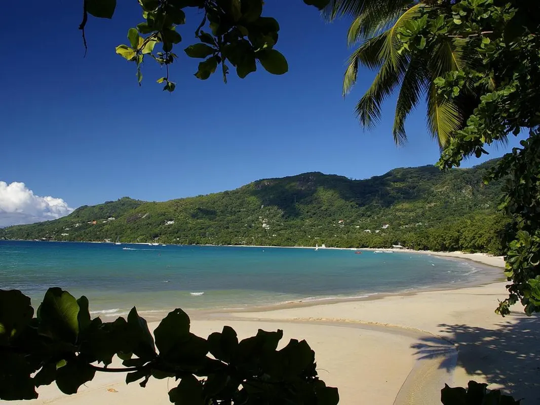 Romance — hoofdfoto