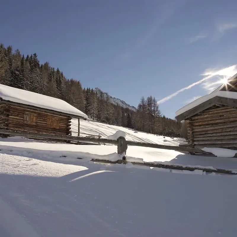 Hotel Mein Almhof — hoofdfoto