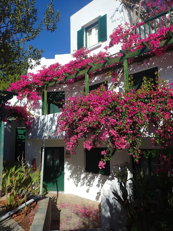 Villea Village — hoofdfoto