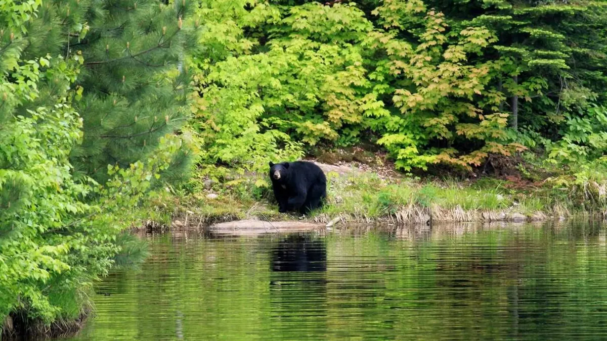 An epic roadtrip from Quebec to Nova Scotia — hoofdfoto