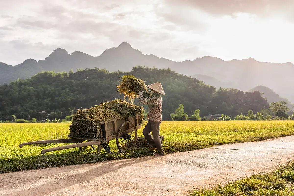 Traditioneel Vietnam — hoofdfoto