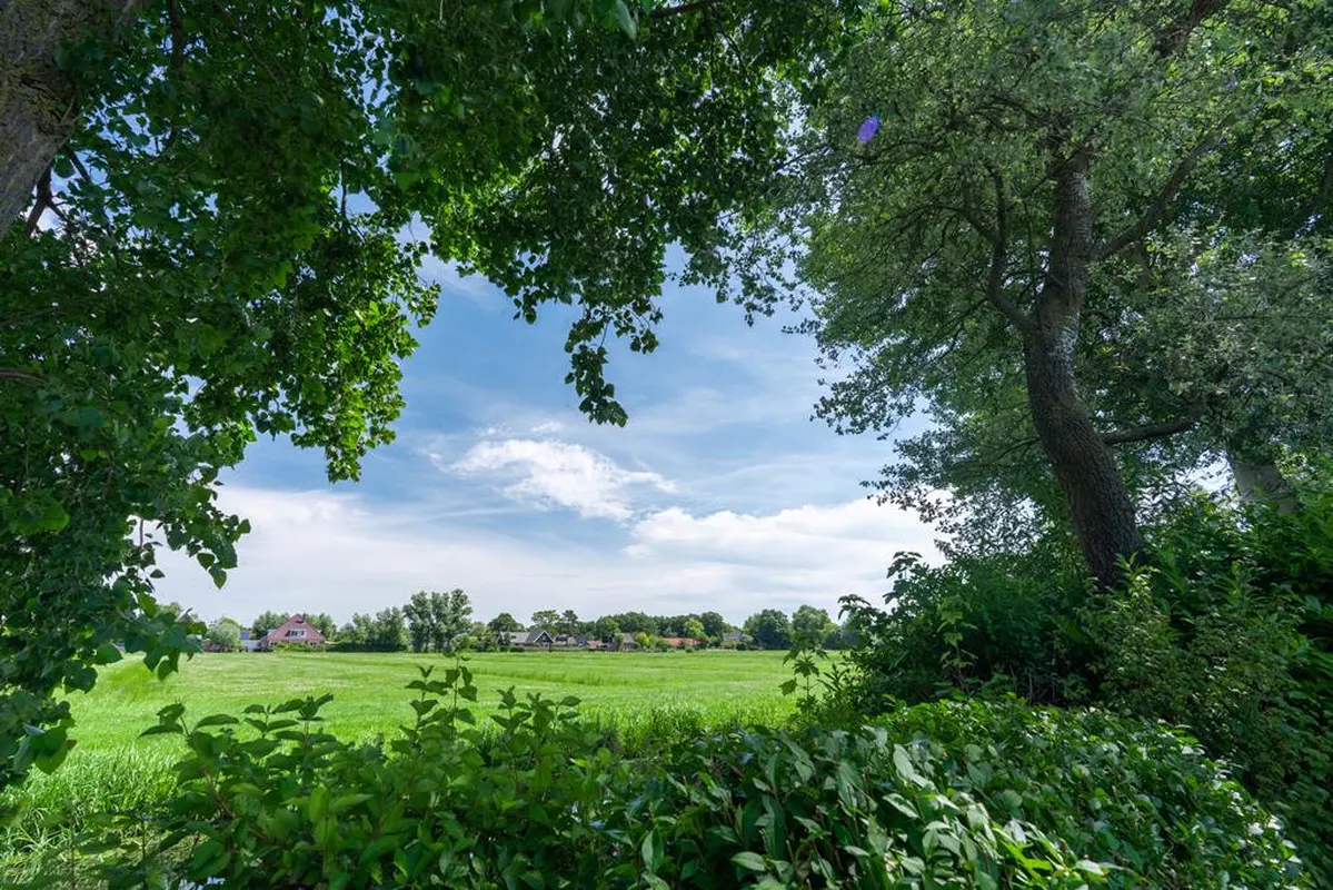 EuroParcs Koningshof — hoofdfoto