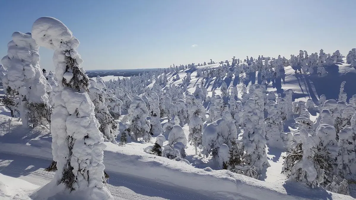 8 daagse excursiereis The Nature of Ruka — hoofdfoto